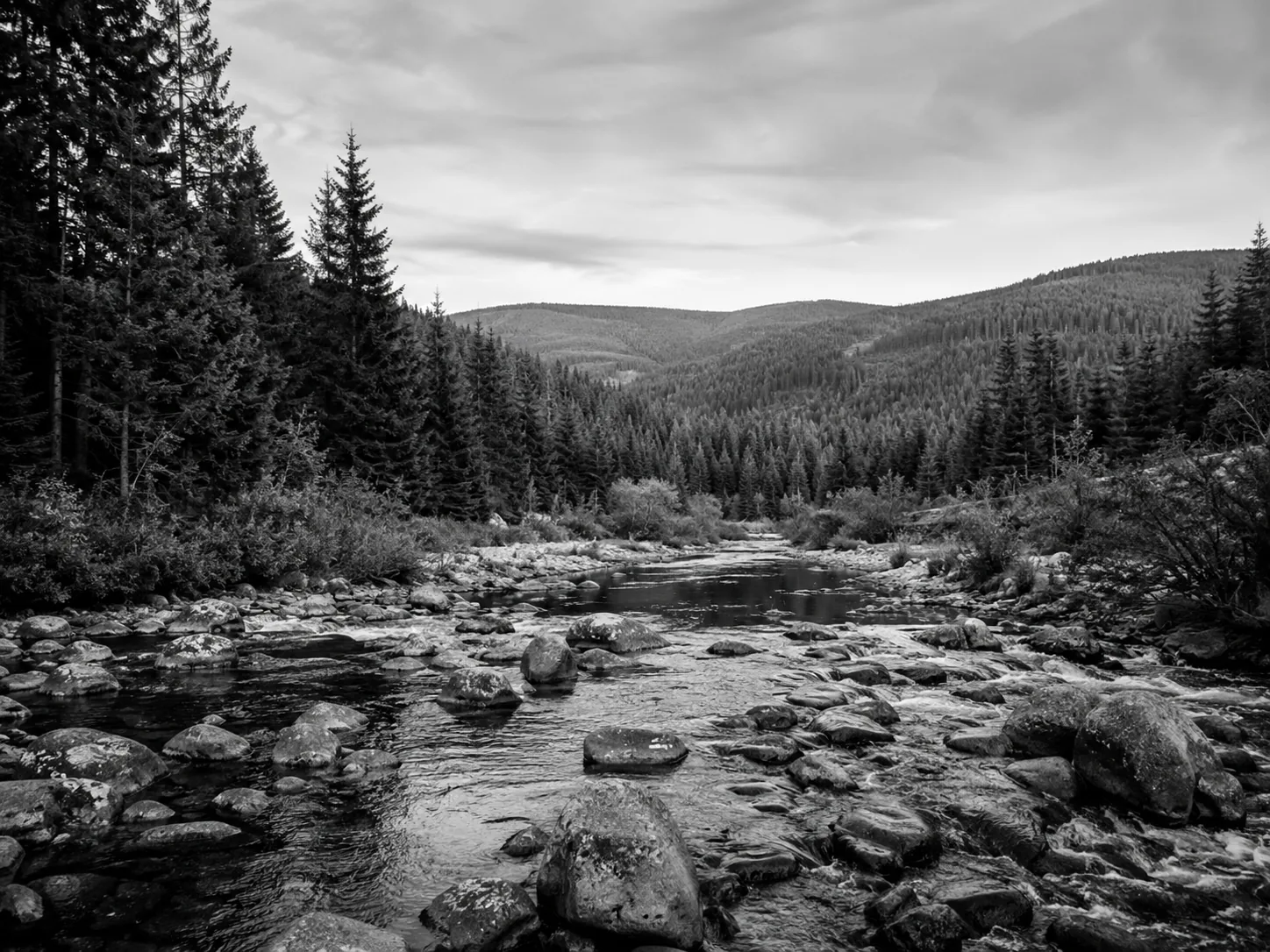 NP Šumava