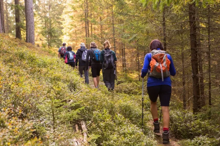 Turisté na Šumavě jako příklad rezervačního systému pro akce
