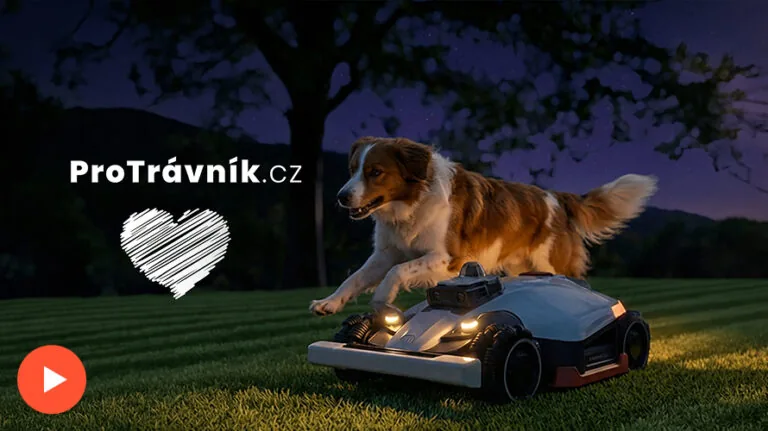 protravnik video
